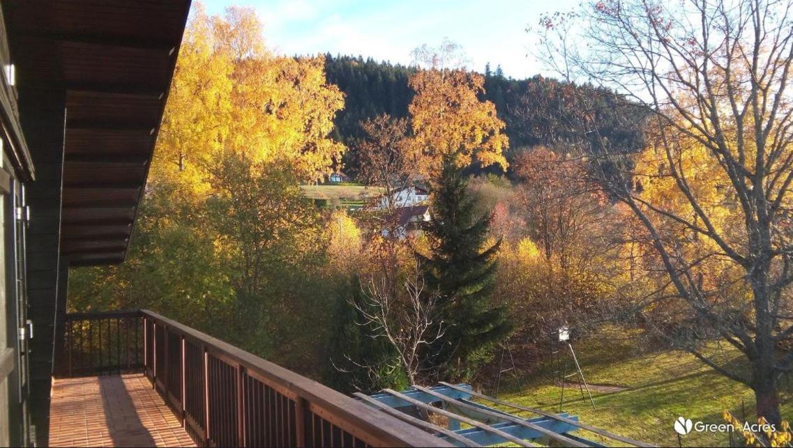 Chalet Les Chardons Gerardmer Ngoại thất bức ảnh